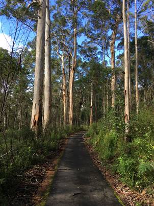 1 Day Walpole Nature